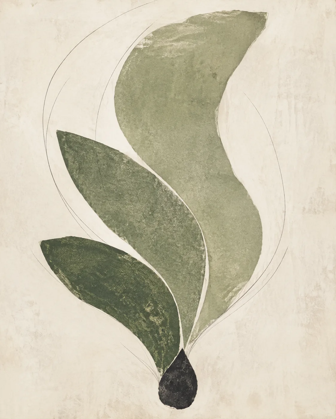 Abstract collage of green forms unfolding upward from a charcoal core, suggesting growth